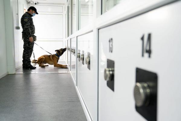 Demonstrație cu unul dintre câinii antrenați pentru depistarea persoanelor infectate cu coronavirus
