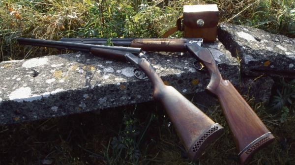 Pădurar ucis din greșeală la o partidă de vânătoare ilegală pe malul drept al Dunării