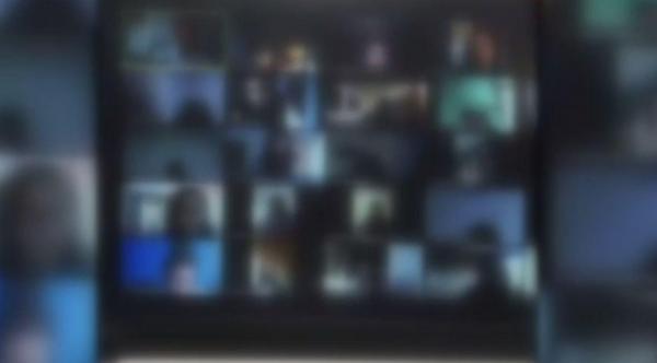 Scandal la Şcoala Centrală: Profesor de fizică, în lenjerie intimă la un curs online