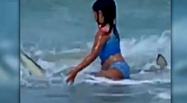 Anela vede rechinul în apă, langa ea