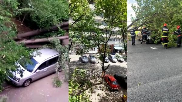 Vântul puternic a făcut ravagii în Capitală. Mai mulţi copaci au căzut pe maşini sau pe şosea din cauza rafalelor puternice