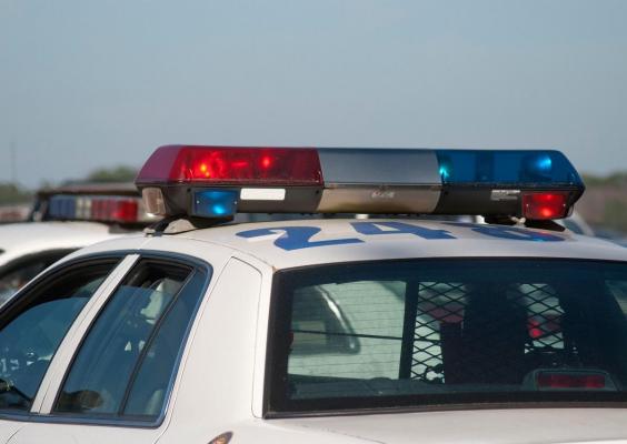 Un profesor de liceu si-a torturat şi ucis cele patru pisici pentru a se ''simți puternic'', în Texas