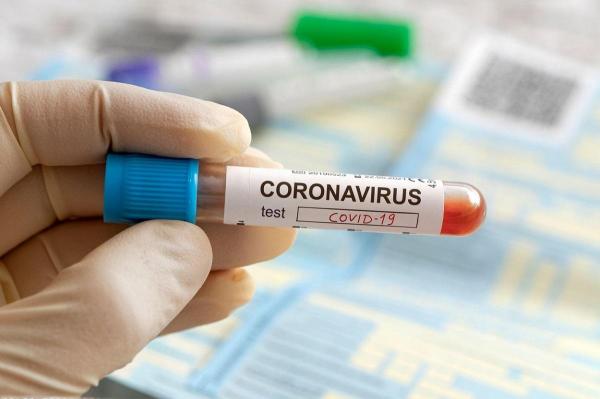 Încă nu s-a stabilit cu exactitate modul în care au apărut infectările cu noul coronavirus