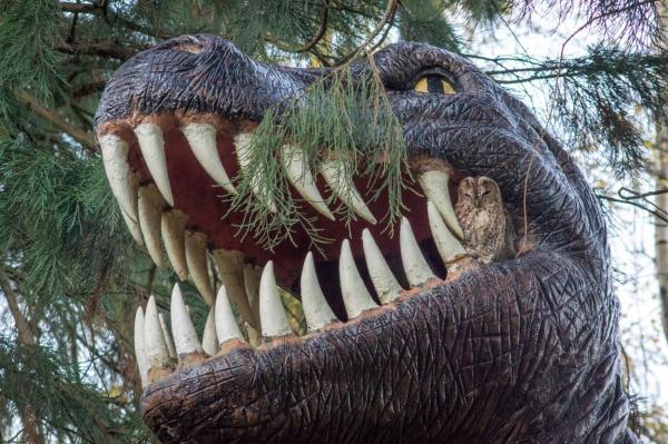 Un bărbat dat dispărut, găsit mort în statuia unui dinozaur, în Spania