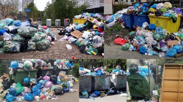 România pare sufocată de grămezi de gunoaie în mai multe zone. Fii Observator şi scrie-ne despre cum este situaţia în zona în care locuieşti