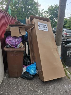 Deșeuri pe străzile din sectorul 1