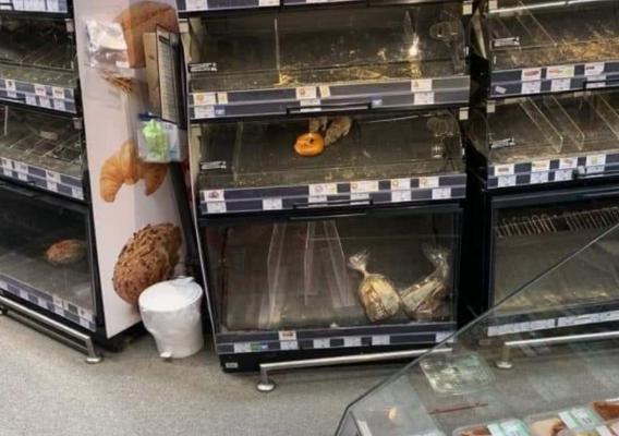 Doi şobolani, surprinşi într-o vitrină dintr-un supermarket din Sectorul 1. Animalele au împărţit frăţeşte un covrig