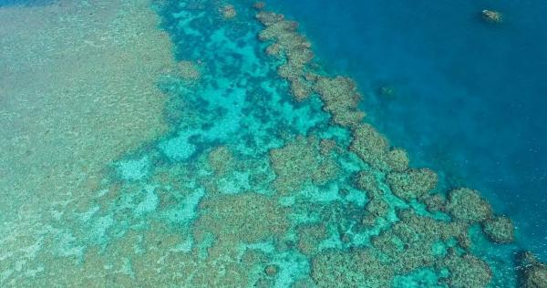 Unesco vrea să pună Marea Barieră de Corali în premieră pe lista patrimoniului aflat în pericol. Australia a reacţionat dur