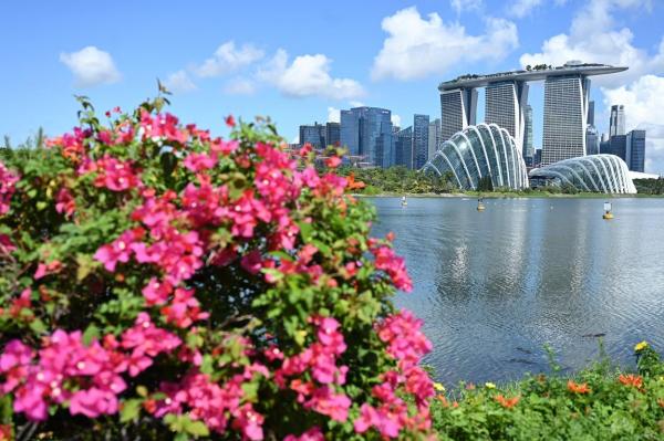 Singapore vrea să renunţe la raportarea zilnică şi să renunţe la toate măsurile restrictive: "Putem transforma pandemia în ceva mult mai puţin înfricoşător"