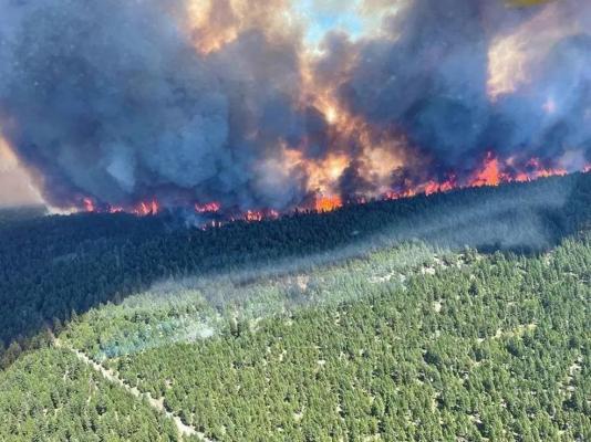 Peste 486 de morți în Canada, din cauza valului de caniculă. Numărul deceselor s-a triplat în ultimele 5 zile