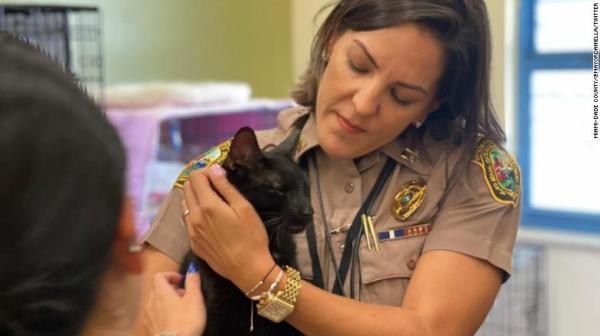 “Micul miracol” din Miami. O pisică a fost găsită în viață printre dărâmăturile de la Champlain Towers South și reunită cu familia sa, după 16 zile