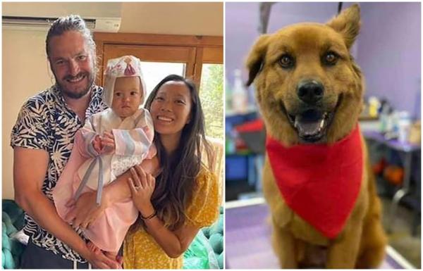 Tineri părinţi, fiica și câinele, găsiți morți într-o zonă de drumeții îndepărtată