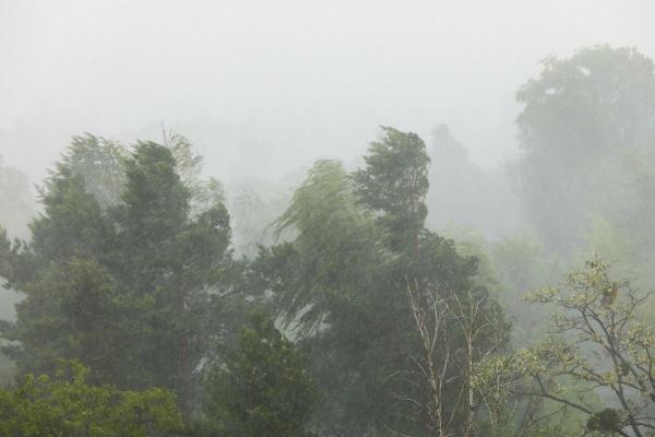 Alertă meteo de vijelii puternice în mai bine de jumătate de țară. Va ploua cât pentru două săptămâni