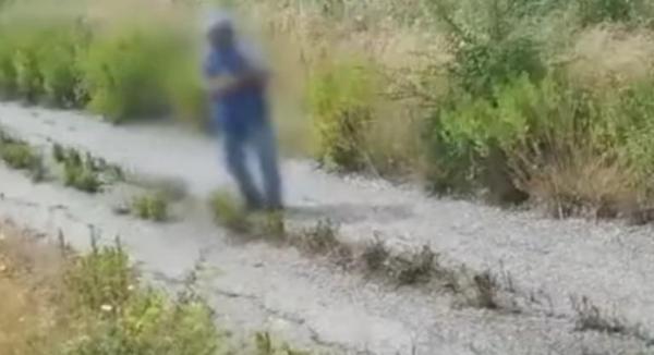 În timp ce italienii se luptă cu incendiile, un bărbat a fost surprins cum dă foc intenţionat. A fost arestat imediat de poliţie - VIDEO