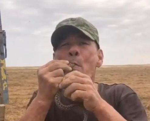 Un fermier din Rusia a murit după ce a vrut să înghită o viperă de stepă. Medicii nu l-au putut salva: "Limba i se umflase atât de tare că abia îi mai încăpea în gură" | GALERIE FOTO