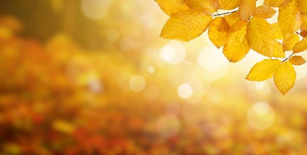 Vremea 6 septembrie. Frig în toată ţara, temperaturile sunt mult mai scăzute pentru această perioadă