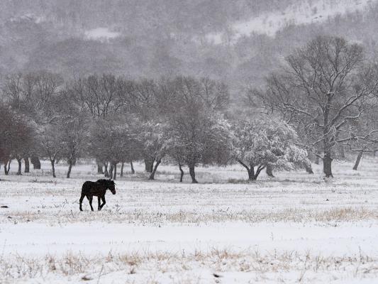 peisaj de iarnă în România