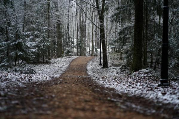 Vremea 24 ianuarie. Temperaturi scăzute pentru această perioadă. Minimele pot ajunge şi la -18 grade