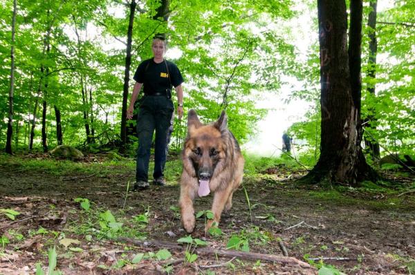 Un câine erou şi-a salvat stăpânul, după ce maşina s-a răsturnat în şanţ. Poliţiştii ajunşi la locul accidentului au rămas fără cuvinte