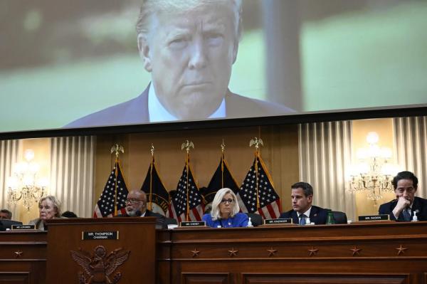 Comisia care îl anchetează pe Donald Trump anunţă noi elemente "surprinzătoare"