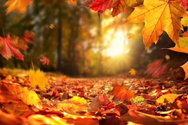 Vremea 17 octombrie. Temperaturile sunt peste normalul perioadei. Revin ploile în vestul ţării