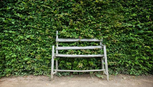 Femeia a spus că foarte multe locuri în care a încercat să locuiască, nu acceptau animalele de companie.