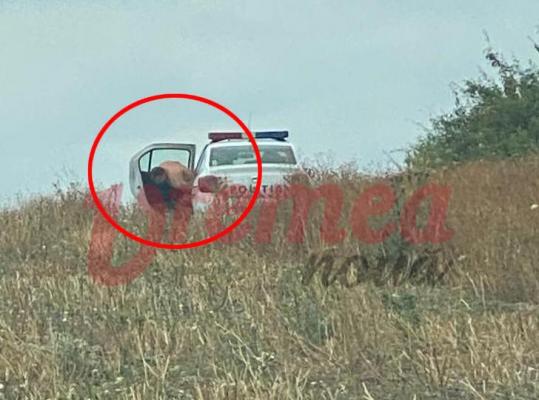 Polițist din Vaslui, surprins gol-pușcă după o partidă de amor cu o colegă chiar în mașina de serviciu