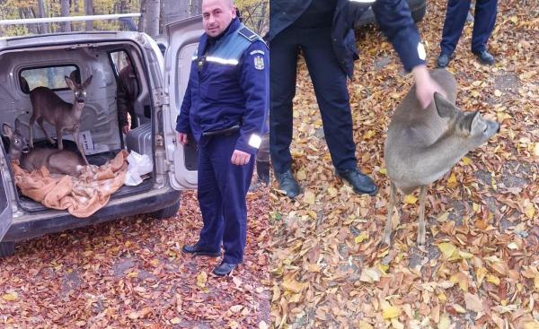 Omul, suspect de braconaj, s-a ales cu dosar penal