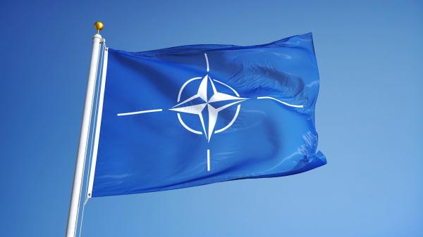 steagul NATO