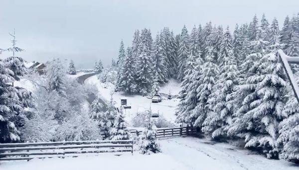 Meteo: Coduri galbene de ploi, viscol și ninsori, în România. ANM a emis noi alerte de vreme severă, până luni seară