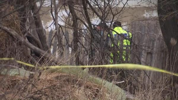 Un tânăr de 24 de ani a fost împuşcat din greșeală, la o vânătoare ilegală în Caraș-Severin. Băiatul a fost rănit în piept