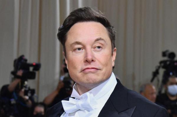 Musk vrea să implanteze cipuri în creierele oamenilor în următoarele 6 lun