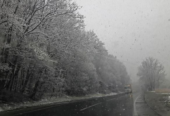 Meteo: Cod galben de polei emis de ANM în 11 județe.  Alerta este valabilă până vineri, la ora 12.00