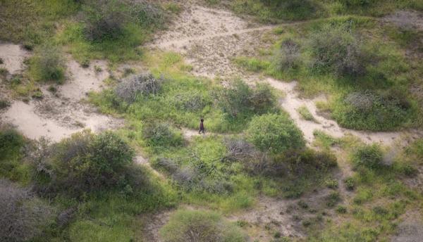 "Nu-mi venea să-mi cred ochilor, era chiar el”. Un băiețel de 4 ani, găsit în viață după 6 zile de stat printre animale sălbatice, în Kenya