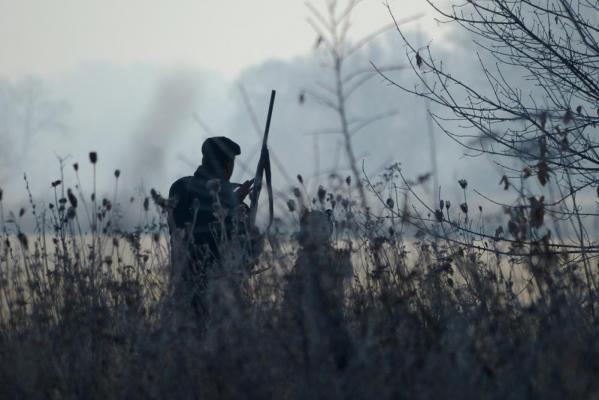 Un bărbat de 36 de ani, împuşcat mortal la o partidă de vânătoare de fazani, în Timiş