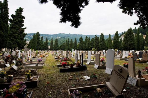 Imagine ilustrativă