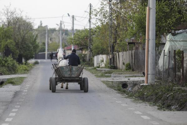 Un bărbat de 80 de ani din Olt, arestat după şi-a înjunghiat un vecin. Bătrânul s-a supărat că victima i-a cerut 50 de lei pentru că îl transportase cu căruţa