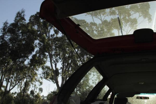 Era să-i stea inima. Un şofer din Botoşani a trăit şocul vieţii după ce a deschis portbagajul maşinii: cine se ascundea acolo | GALERIE FOTO