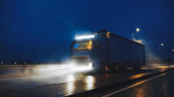 Poliiştii austrieci au fost cei care au descoperit grozăvia