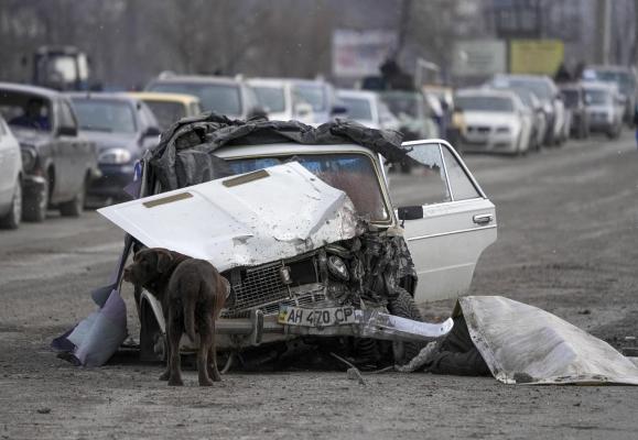 Soldații lui Putin ar mânca carne de câine din cauza raţiilor expirate. Militar rus, interceptat când vorbea cu familia sa