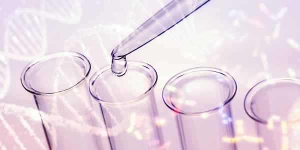 Rusia acuză Germania că s-ar fi implicat în laboratoarele biologice din Ucraina: "Au creat o reţea de cel puţin 30"