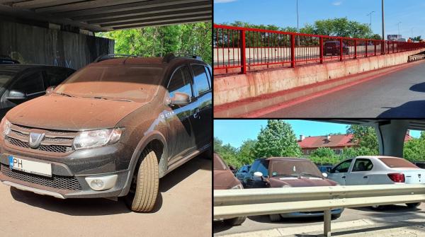 mașini vopsite sub podul de la Otopeni