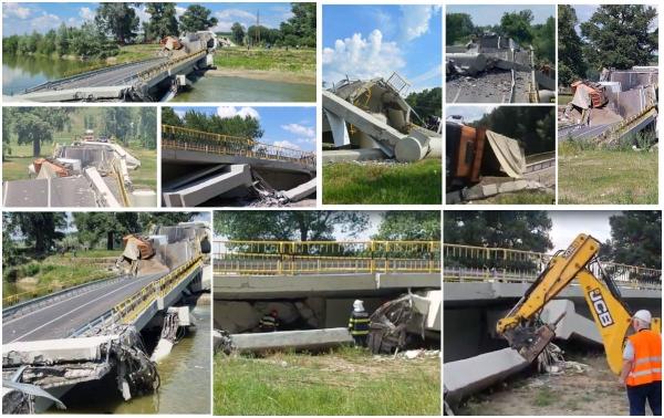 Oaia prinsă sub podul prăbuşit în Neamţ s-a salvat singură dintre dărâmături. 98 încă lipsesc. „Poate sunt şi oameni acolo. Dar cum să ştie dacă nu se caută?"