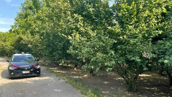 Român, găsit într-un sac de plastic în Italia. Gheorghe avea 55 de ani și era mort de ceva timp