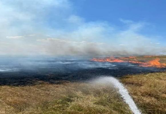 Incendiu de proporţii declanşat de militarii francezi din Babadag care au tras cu muniţie de război: 400 de hectare au ars, mai multe animale au murit