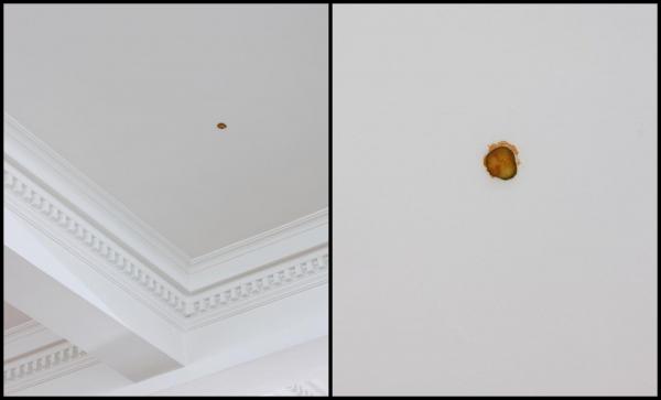 Felie de castravete murat