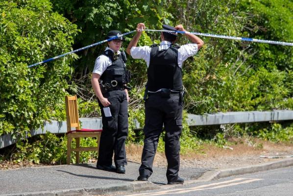 Un copil de 11 ani a murit după ce a fost găsit în stare gravă, într-un parc din Anglia. Un bărbat de 41 de ani a fost arestat