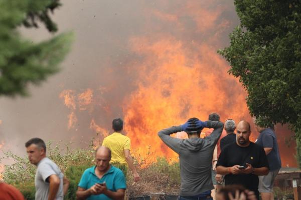 Incendii devastatoare de vegetaţie în Spania