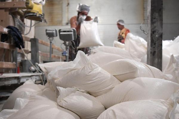 Producătorii de făină și de ulei vor primi un ajutor din partea statului "Ar fi binevenit şi pentru consumatorul final care ar putea să plătească un preţ mai mic"