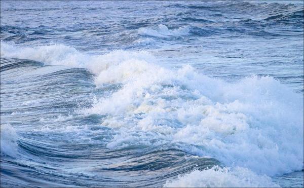 Femeia  fost declarată moartă la fața locului, în ciuda eforturilor paramedicilor de a o salva